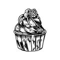 Doodle style cupcake decorated with cream and berries. Hand-drawn vector illustration. Sweet dessert cake.